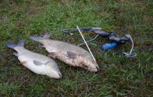 Fotografie Bowfishing Arkansas